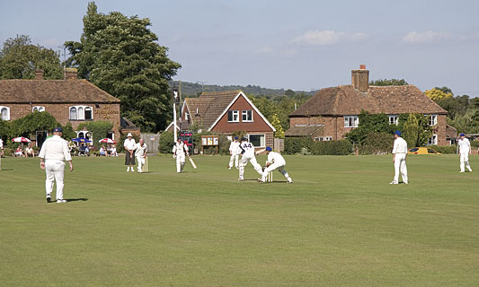 Cricket in Buckhurst Hill