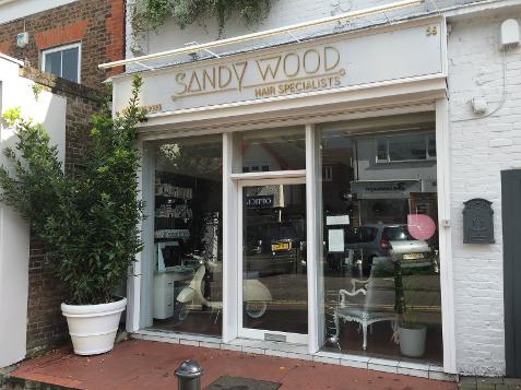 Sandy Wood in Buckhurst Hill